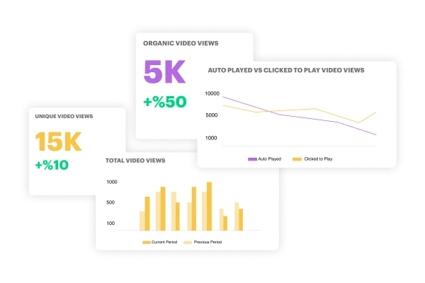 video views statistics