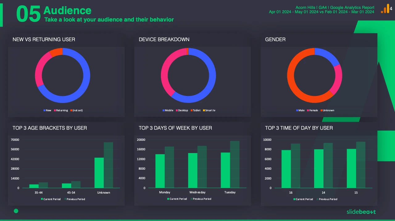 Slidebeast Google Analytics 4 Audience Report