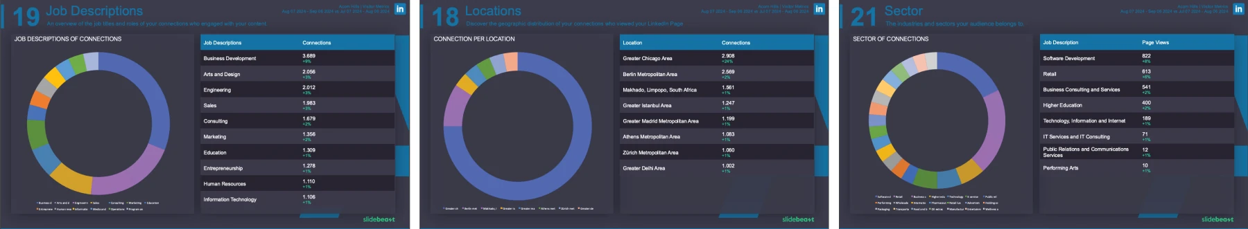 Slidebeast LinkedIn Report Visitor Metrics Section