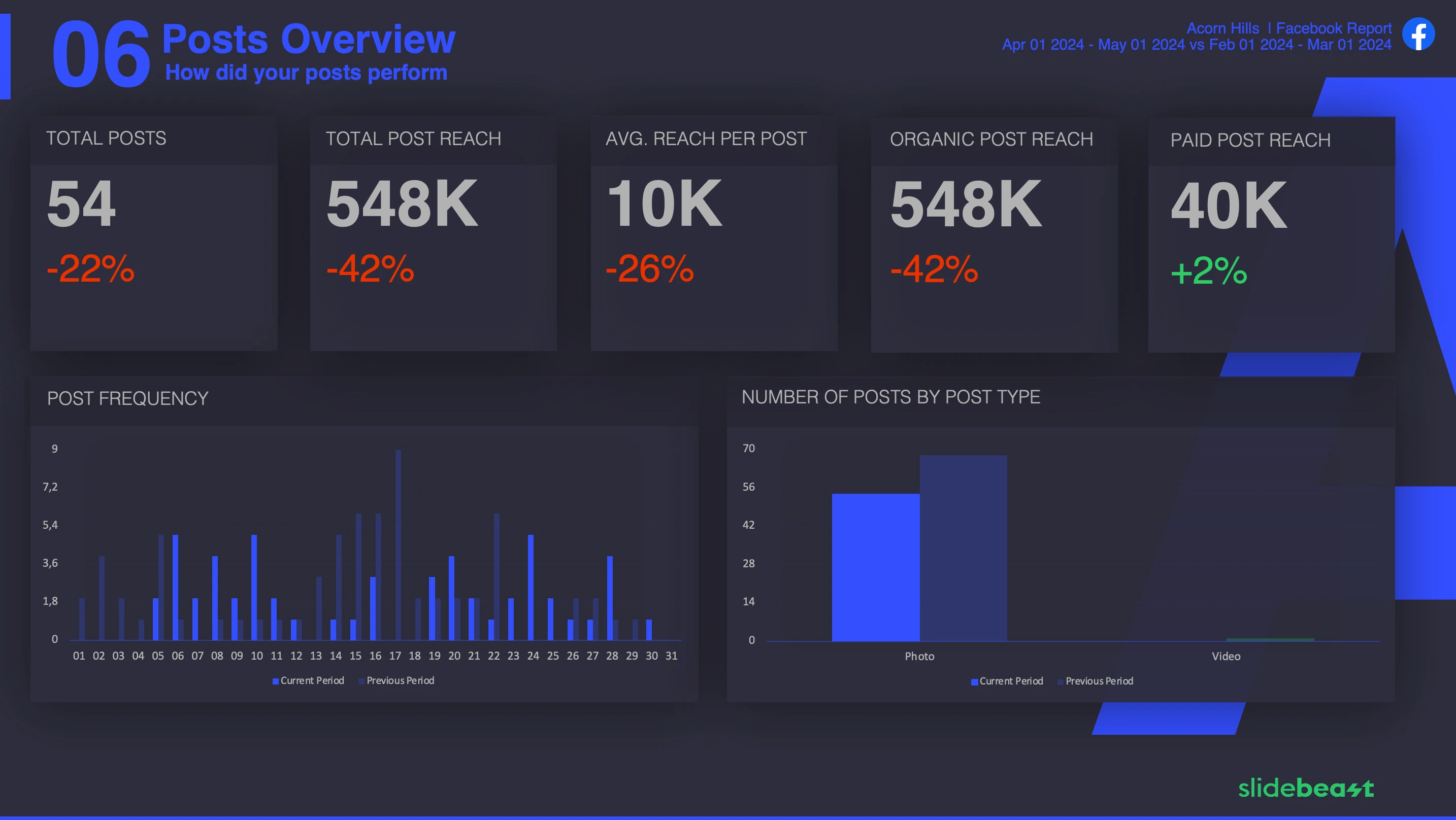 Facebook Snapshot Report Template 1