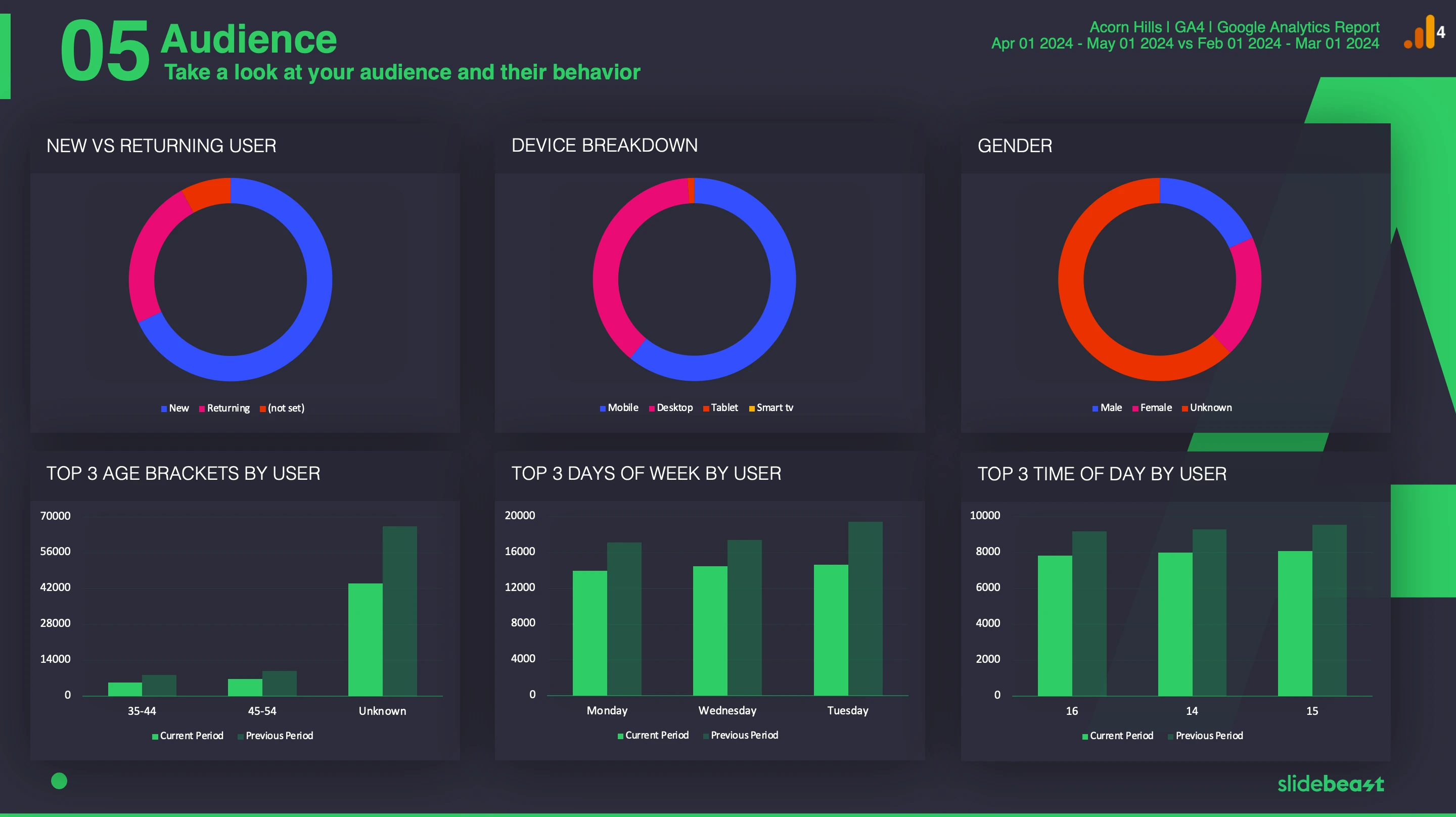 Google Analytics 4 Audience Report Template 3