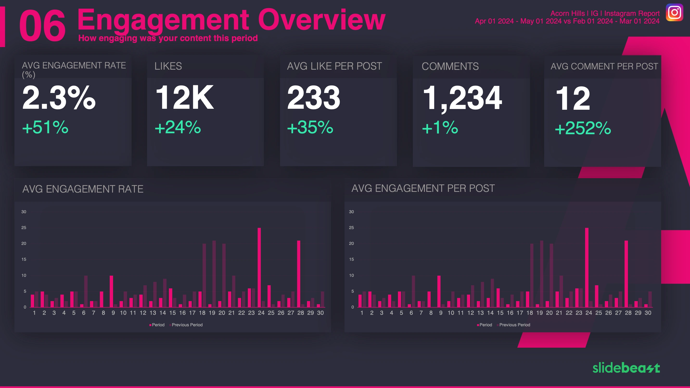 Instagram Dashboard Report Template 2