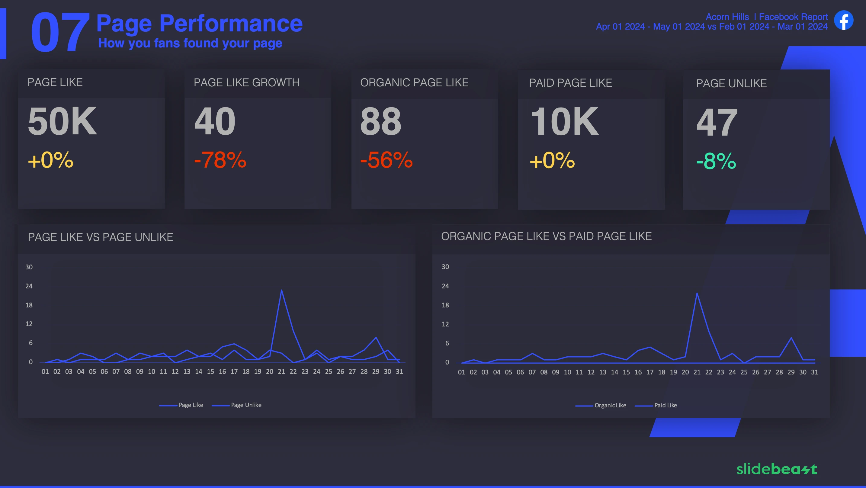 Facebook Dashboard Report Template 1