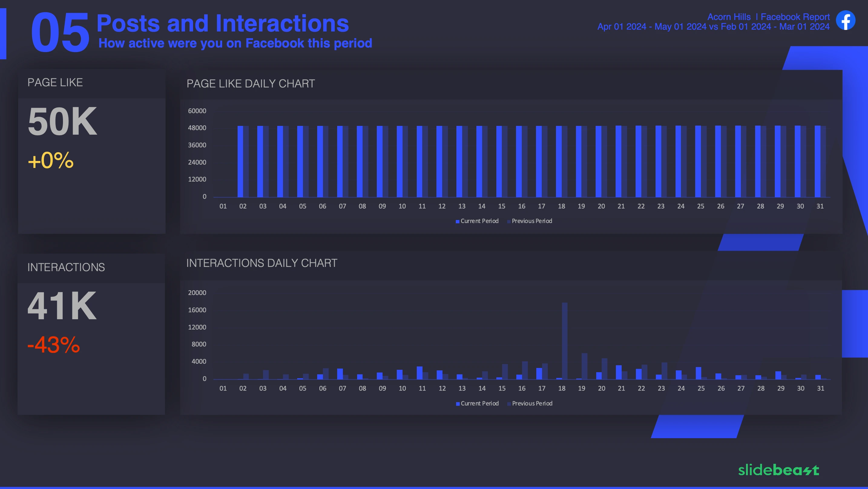 Facebook Page Like Report Template 2