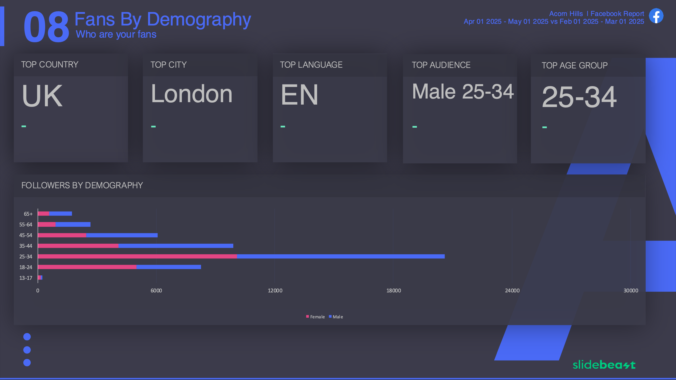 Facebook Page Like Report Template 3