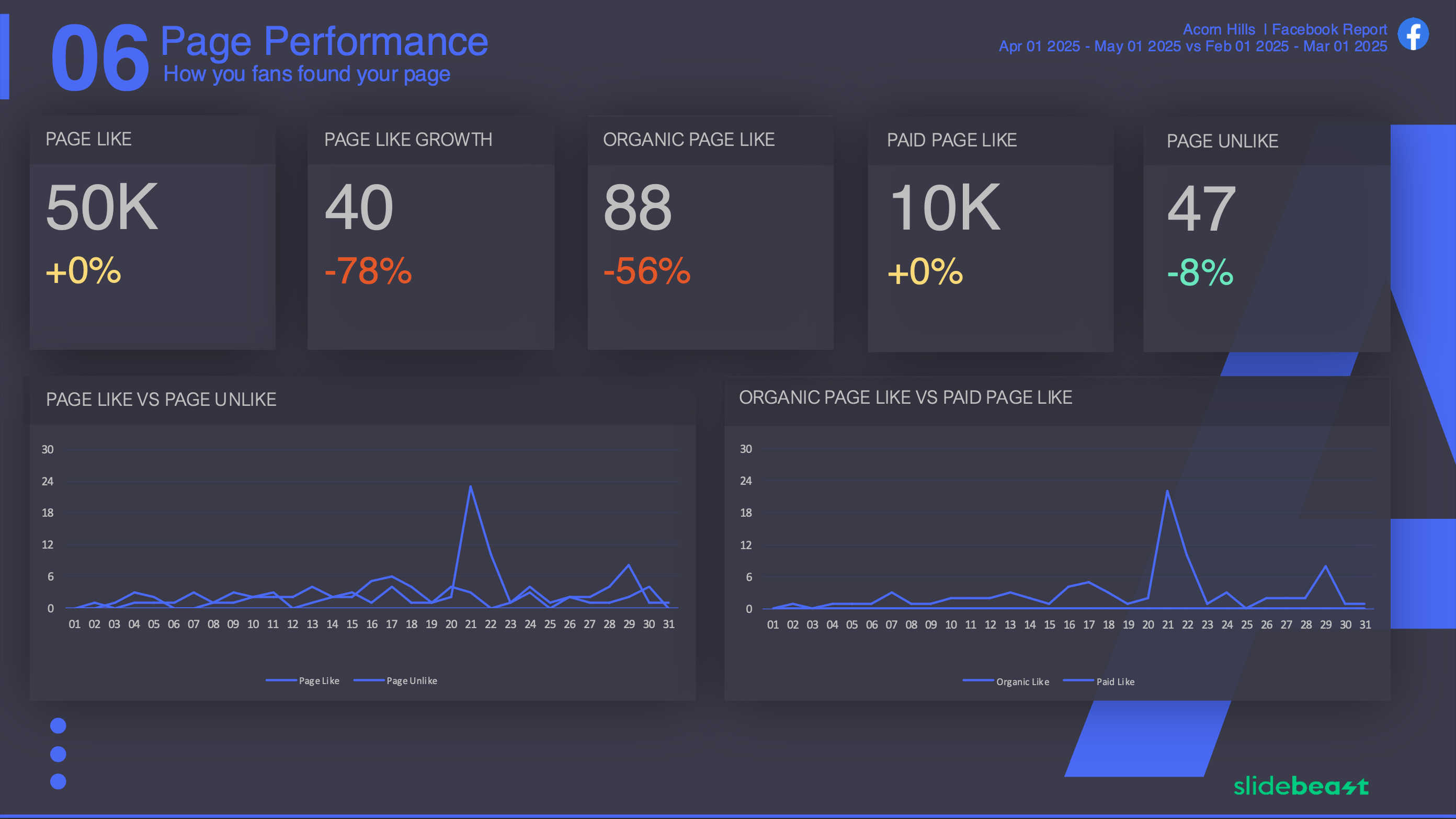 Facebook Snapshot Report Template 1