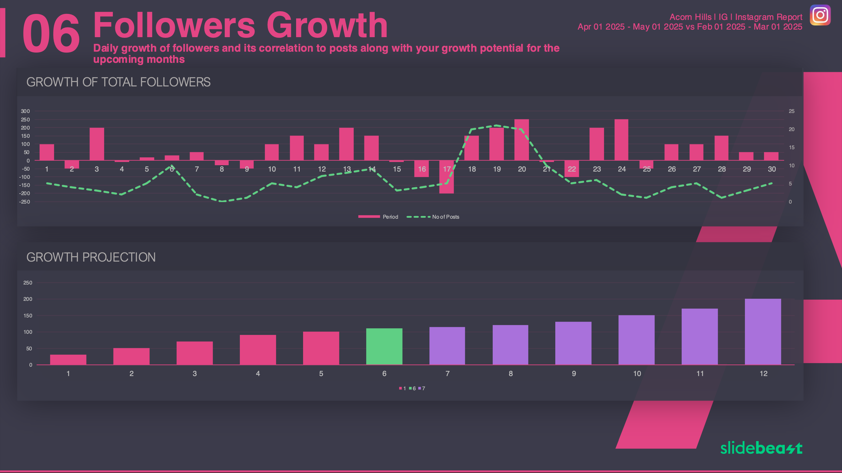 Instagram Snapshot Report Template 1