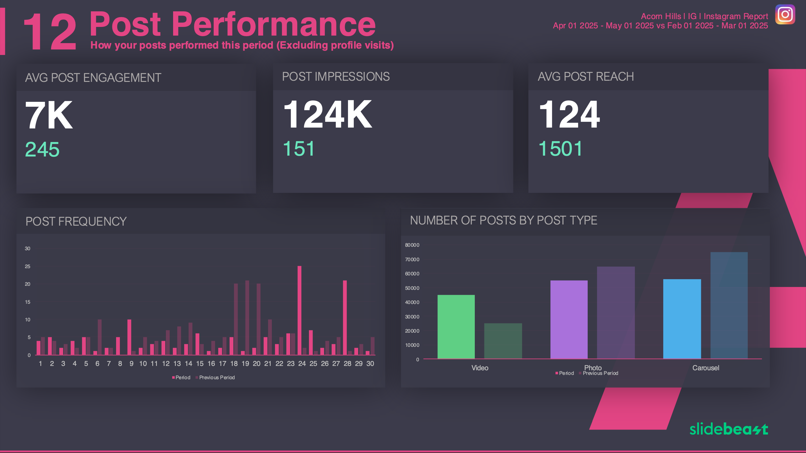 Instagram Snapshot Report Template 3