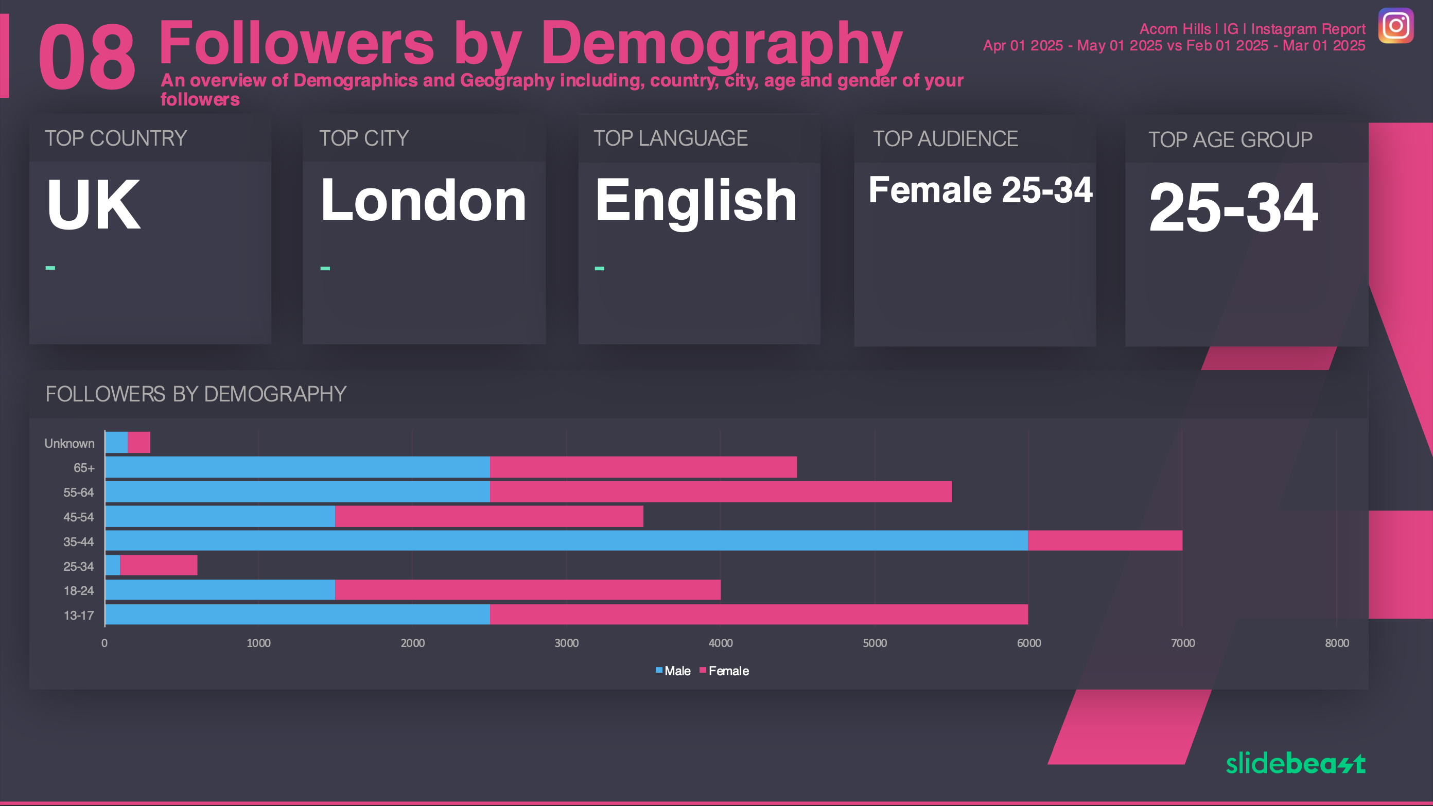 Instagram Followers Report Template 3