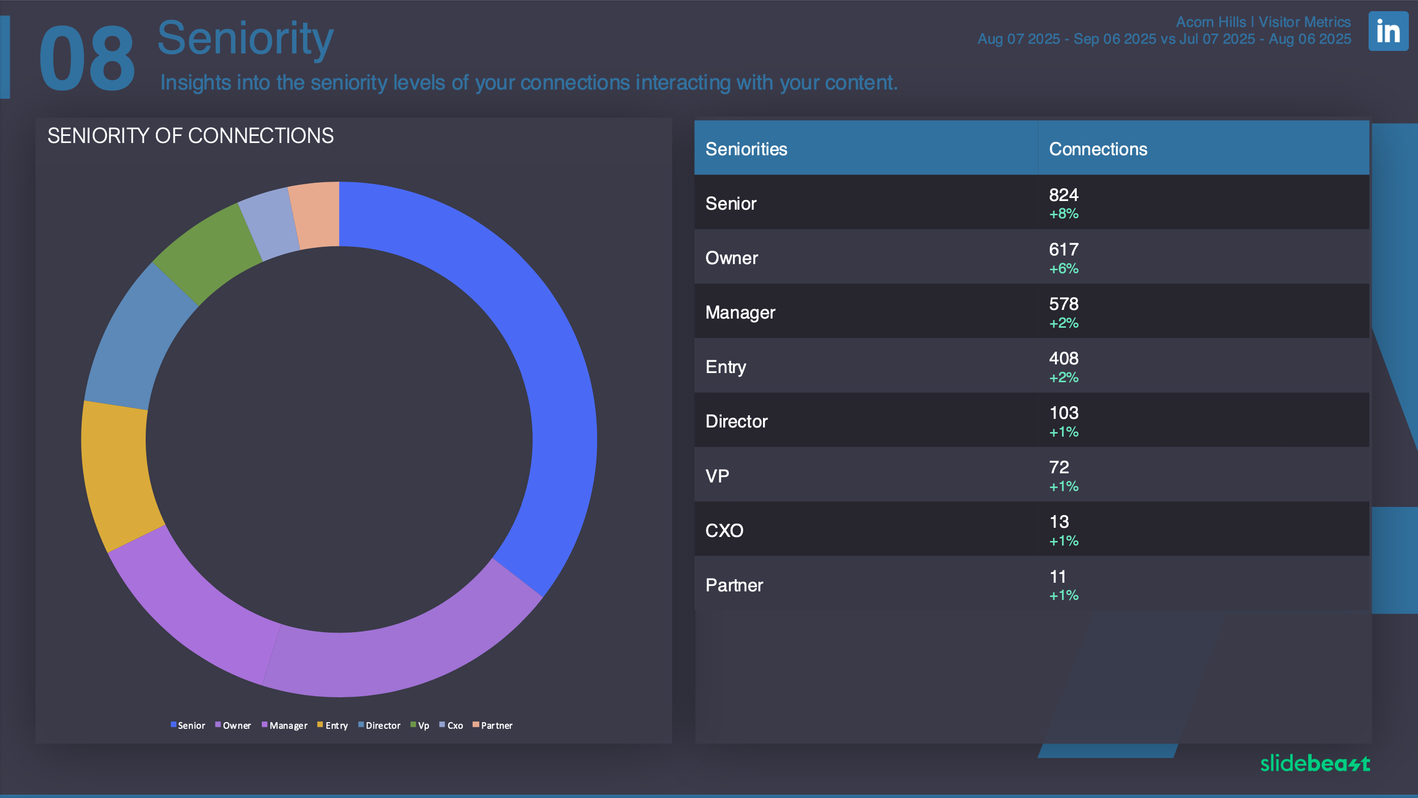 LinkedIn Audience Report Template 3