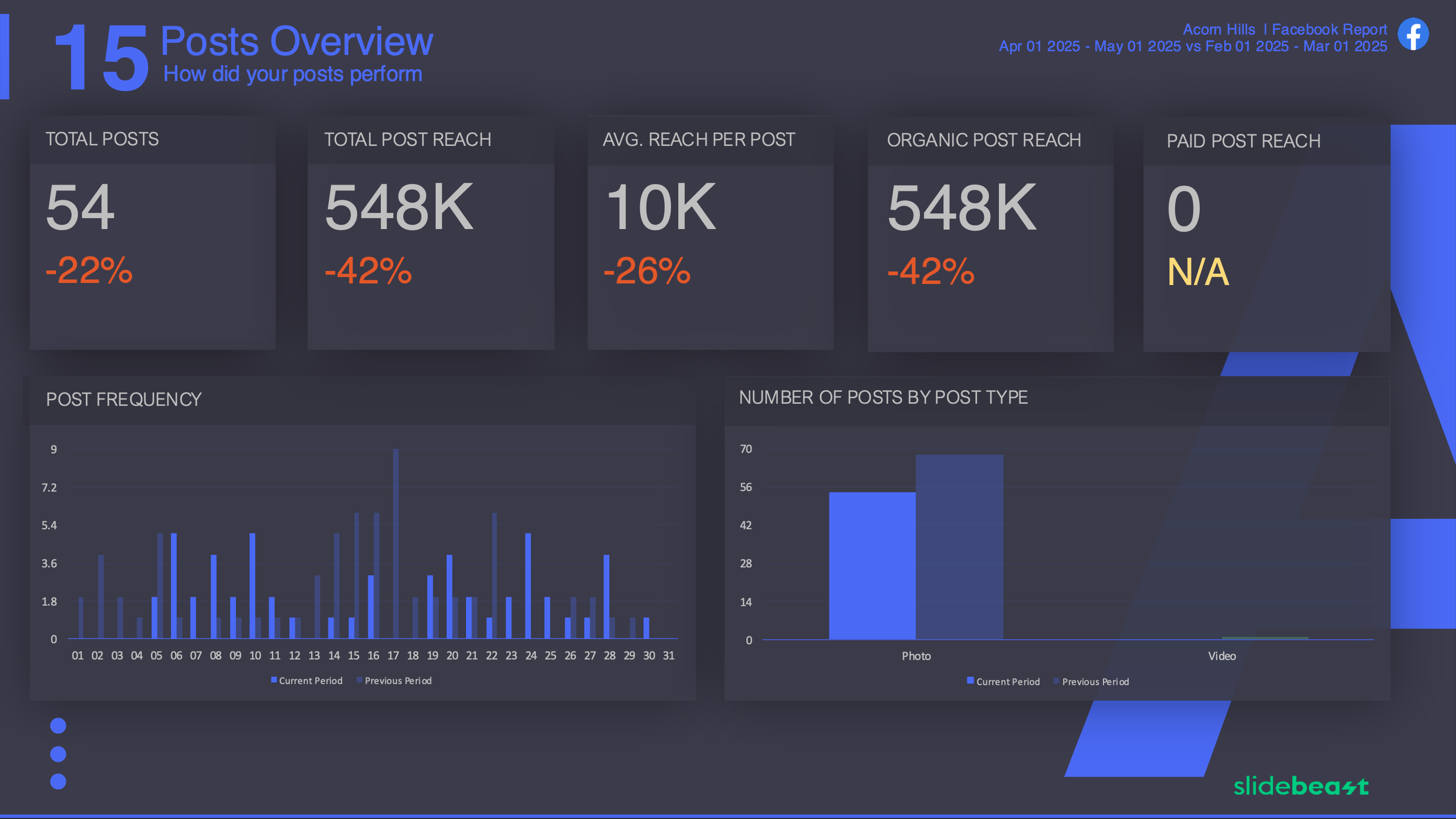 Facebook Snapshot Report Template 3