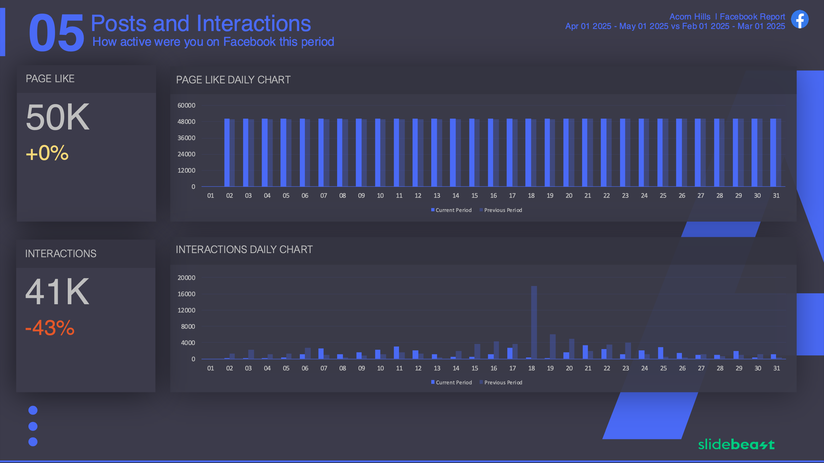 Facebook Page Like Report Template 1