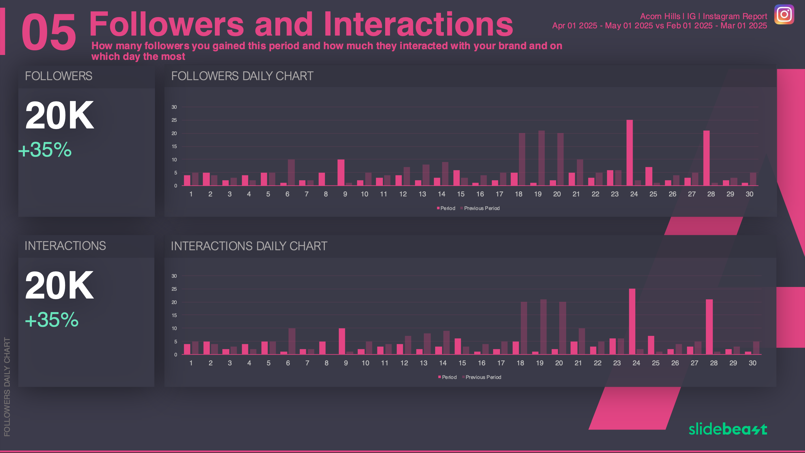 Instagram Followers Report Template 1