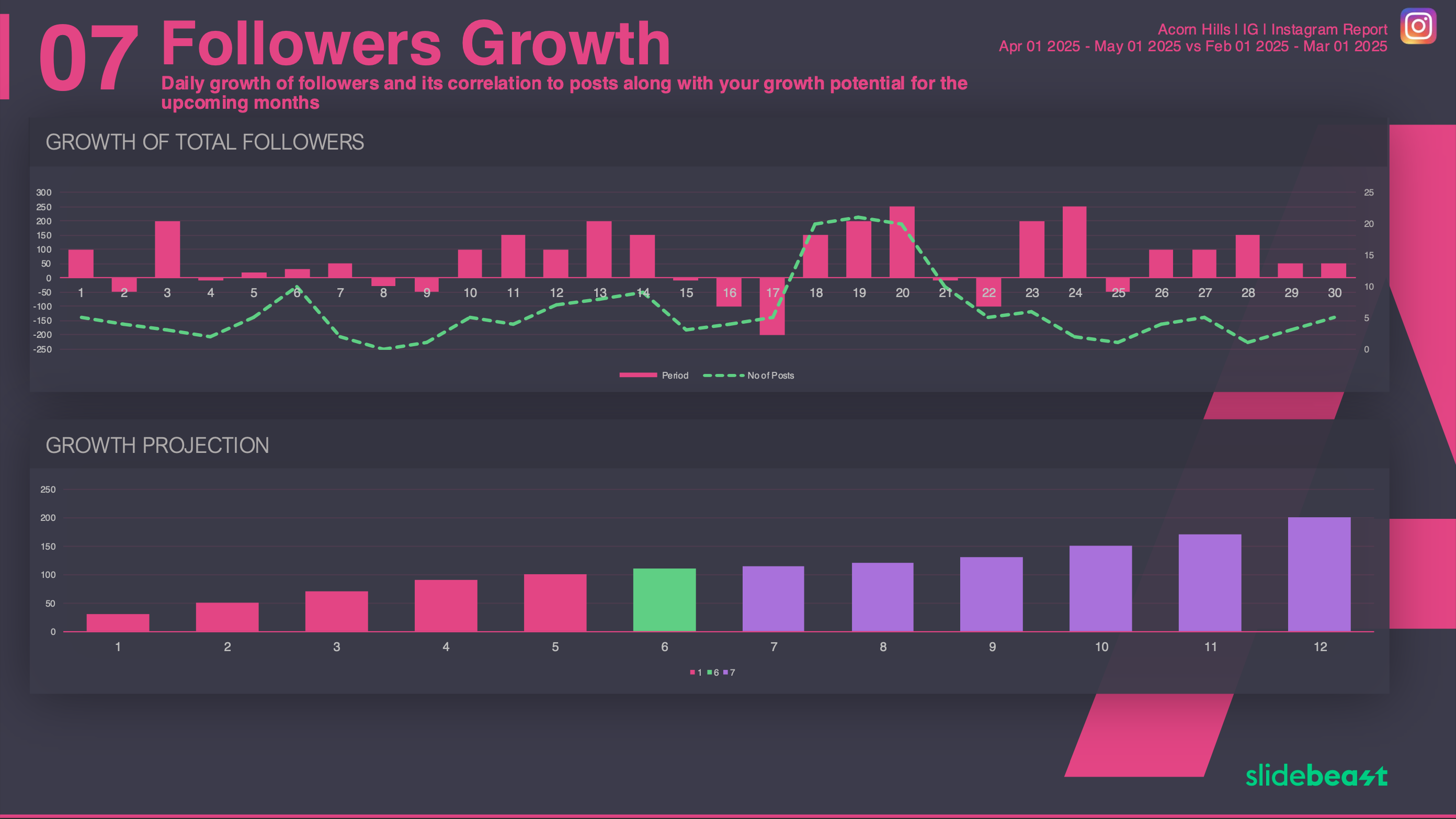 Instagram Followers Report Template 2