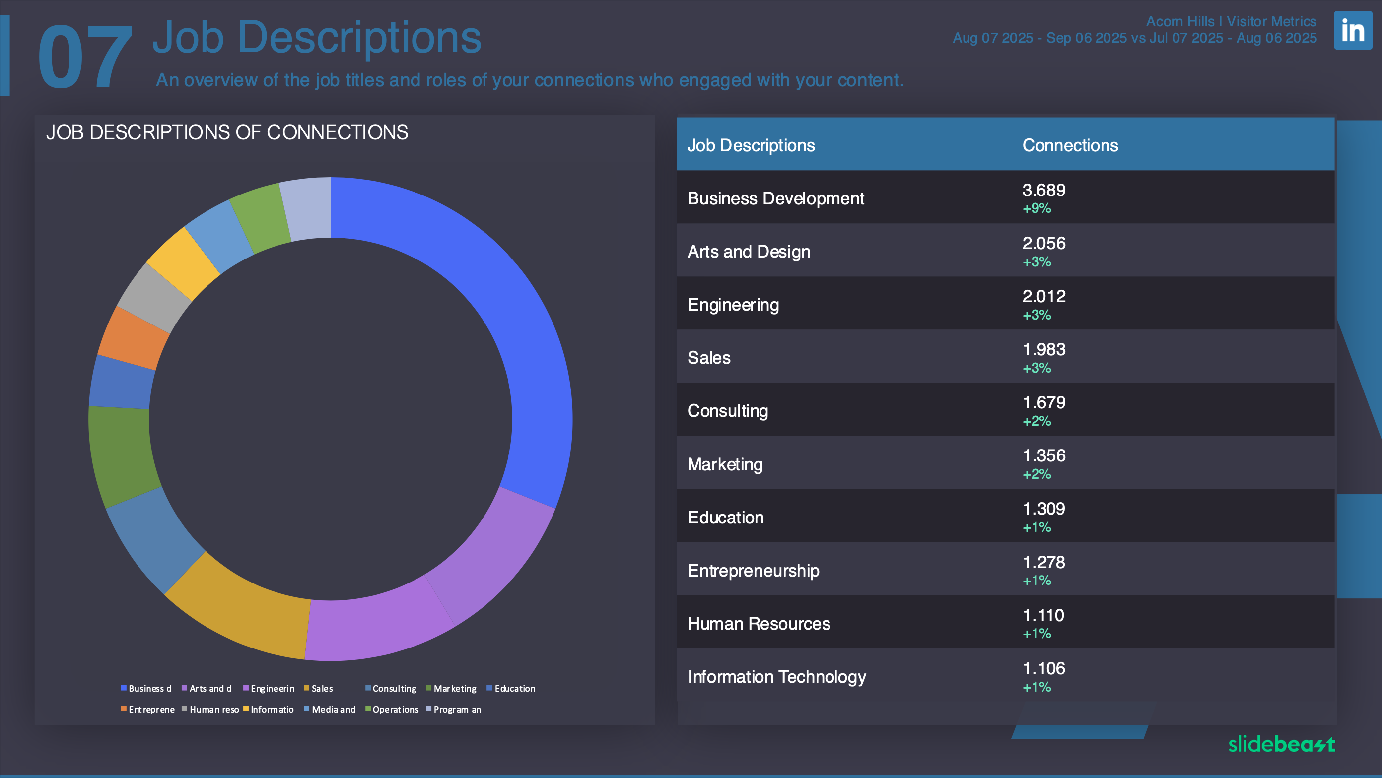 LinkedIn Audience Report Template 2