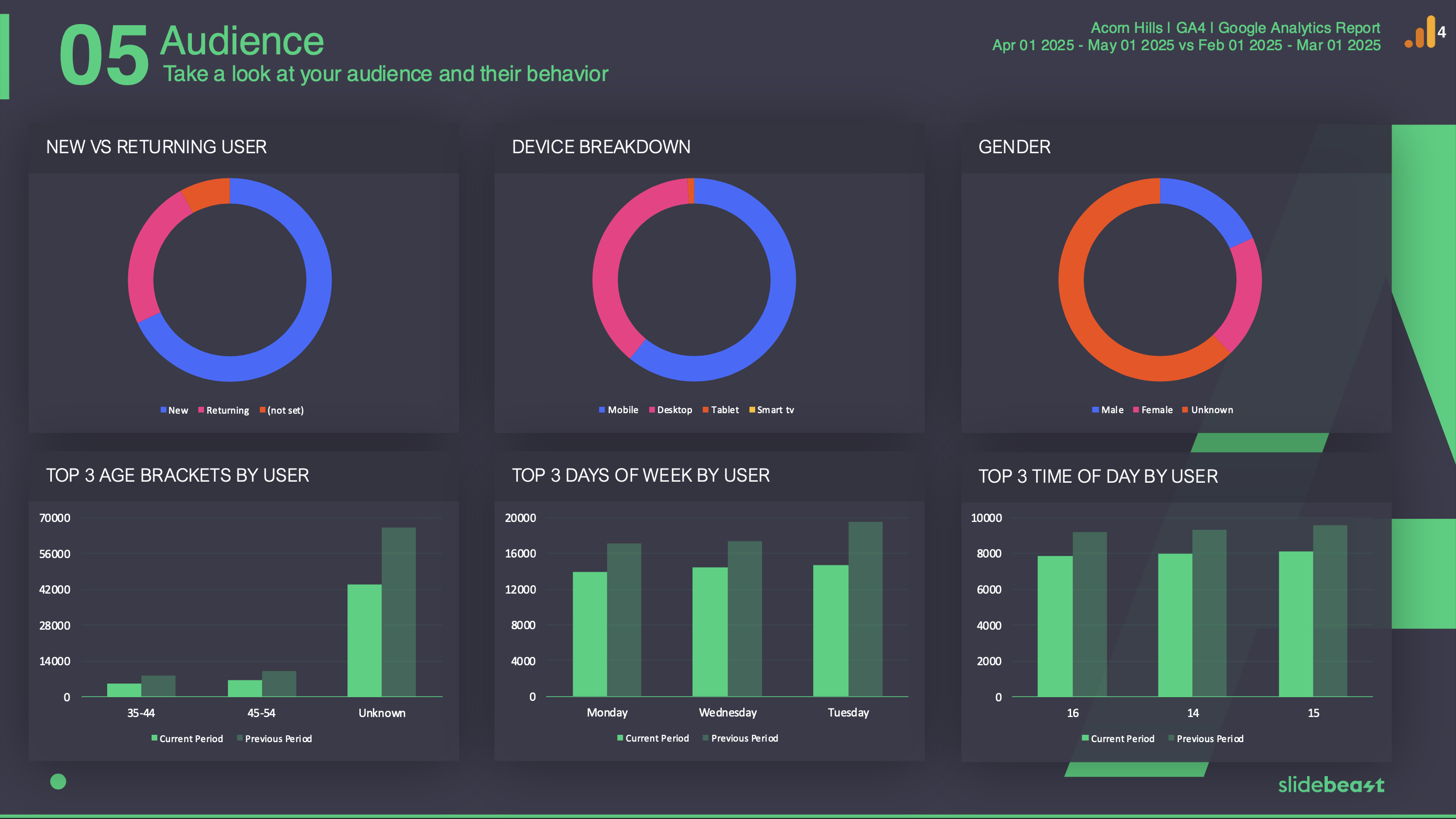 Google Analytics 4 Audience Report Template 1