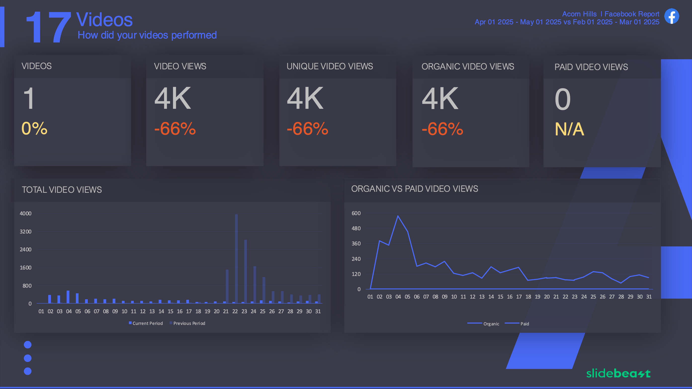 Facebook Dashboard Report Template 3