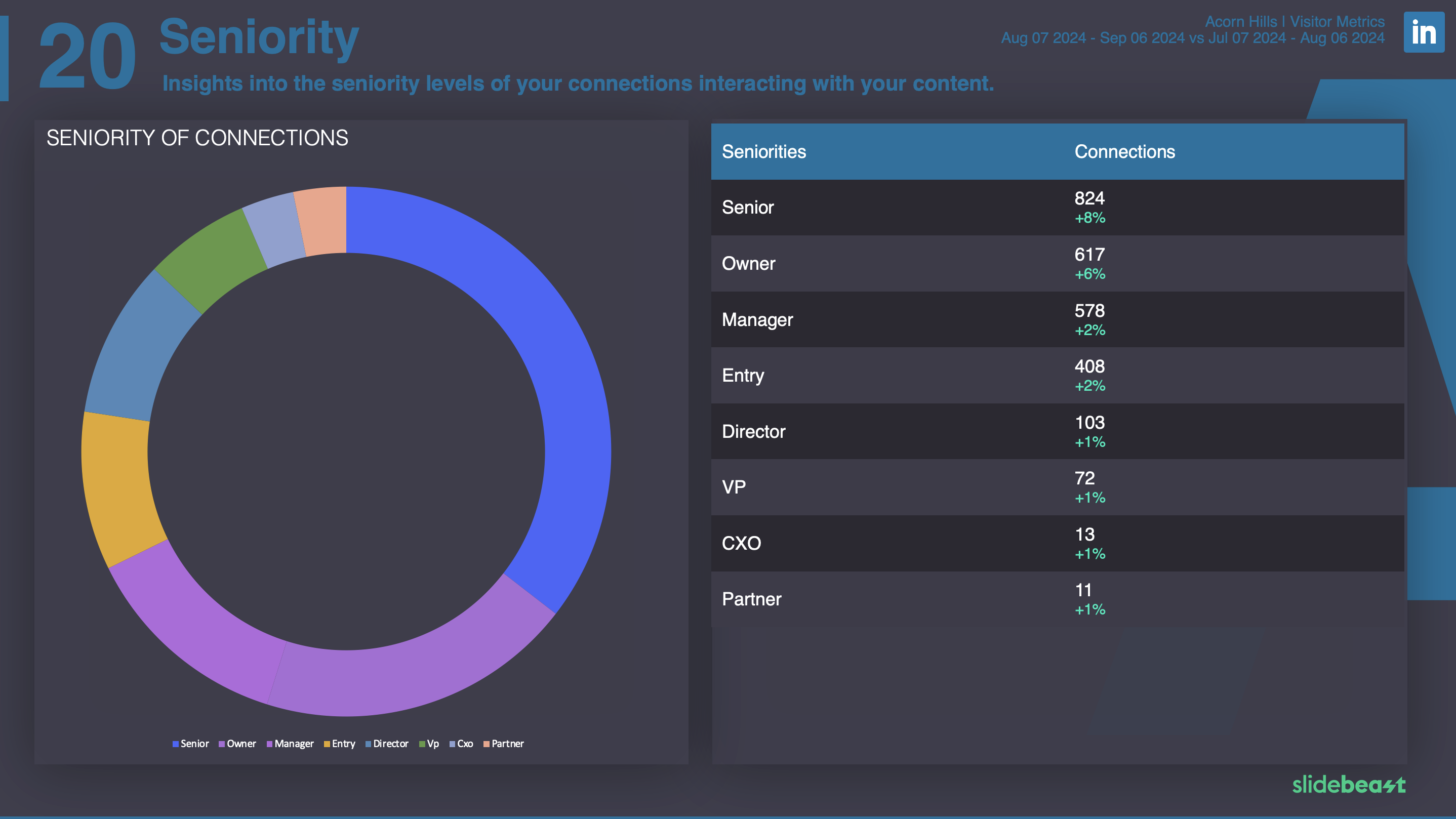 LinkedIn Audience Report Template 3