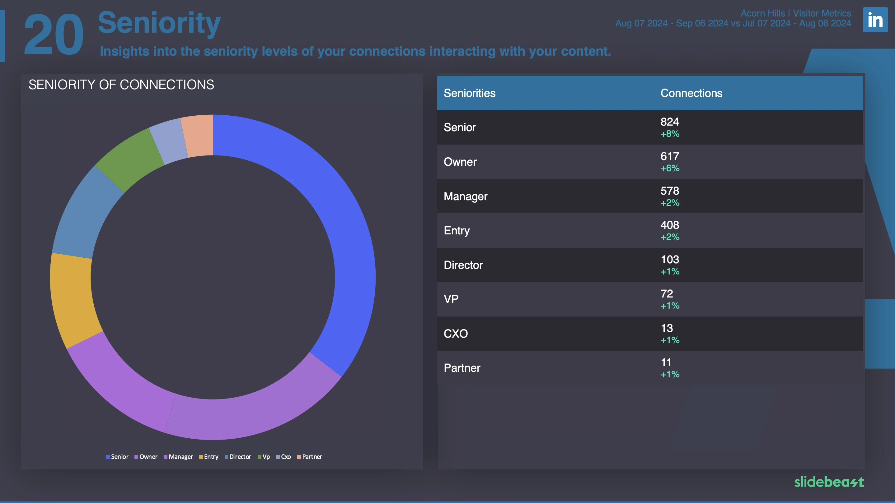 LinkedIn Audience Report Template 3