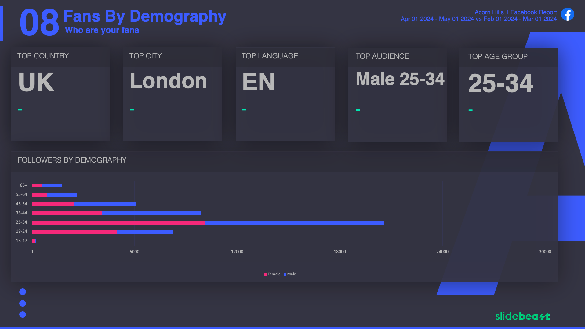 Facebook Page Like Report Template 3