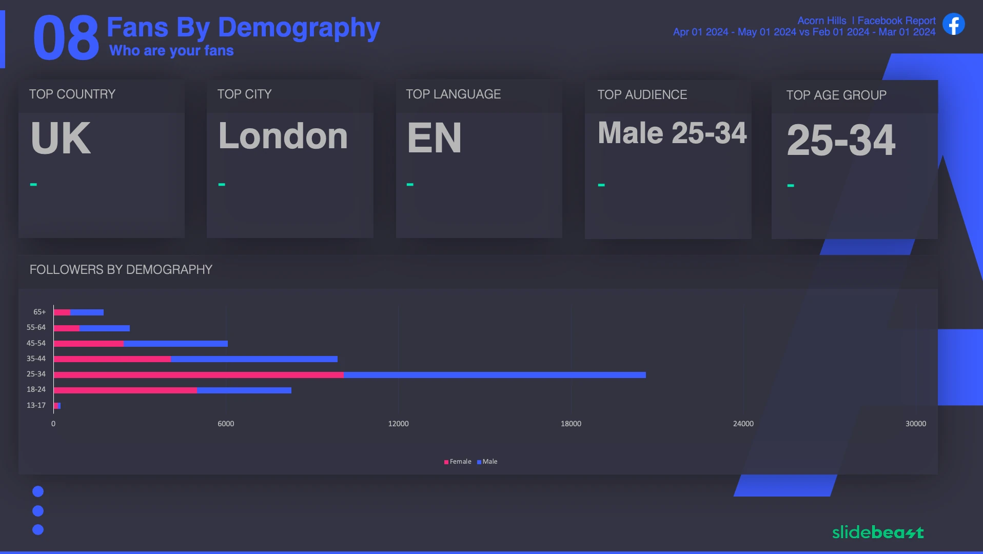 Facebook Page Like Report Template 3