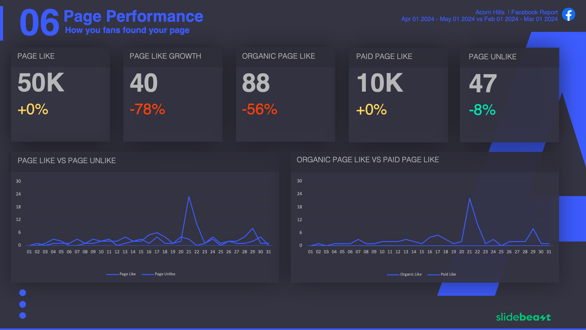 Facebook Snapshot Report Template 3