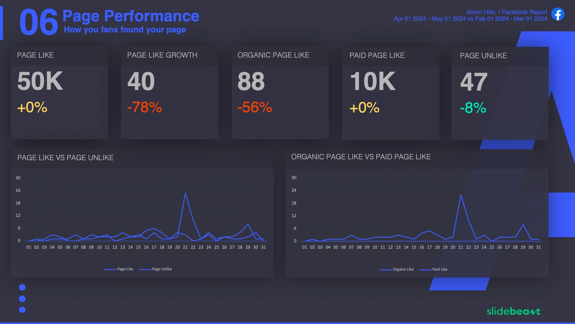 Facebook Snapshot Report Template 3