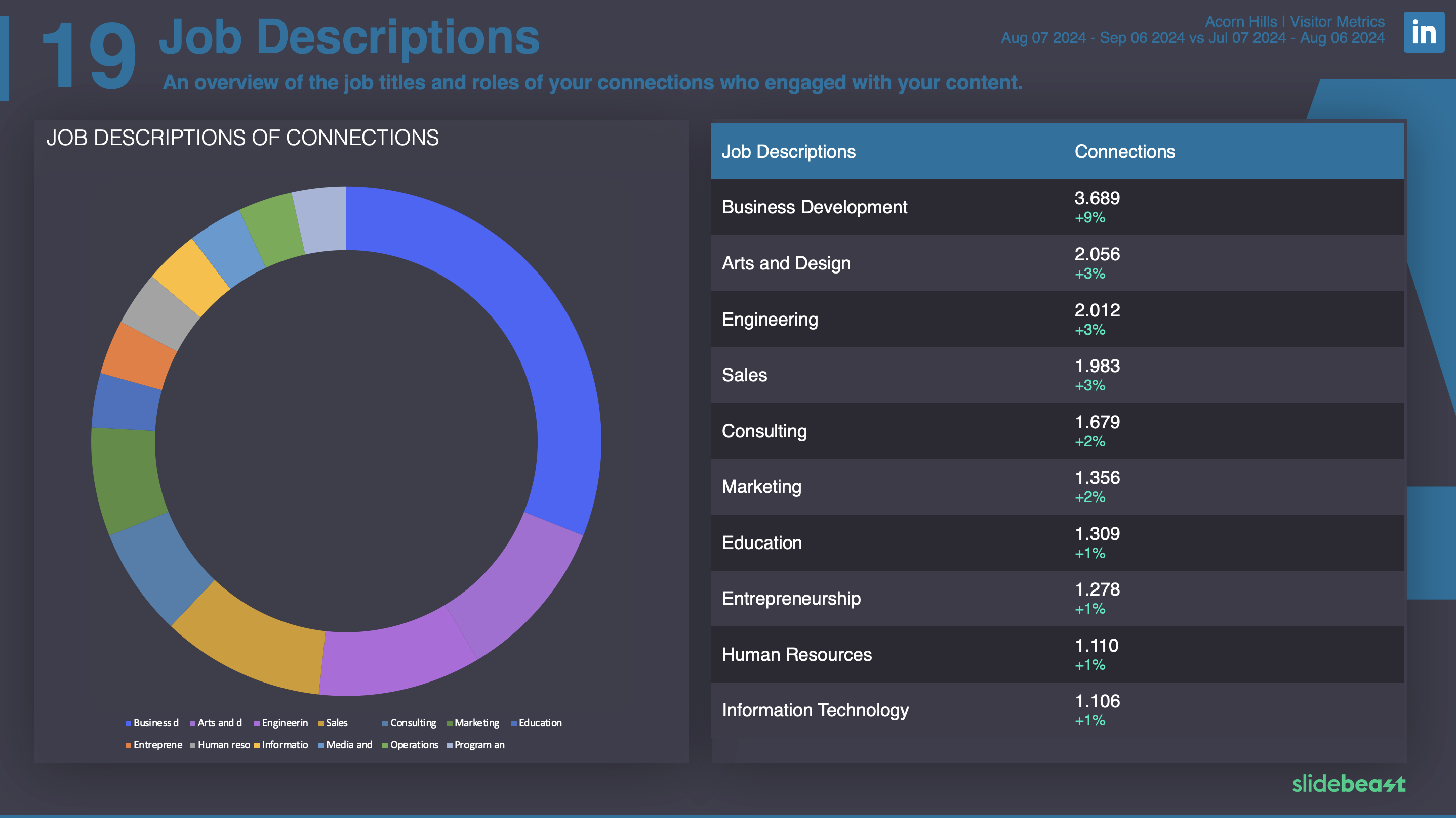 LinkedIn Audience Report Template 2