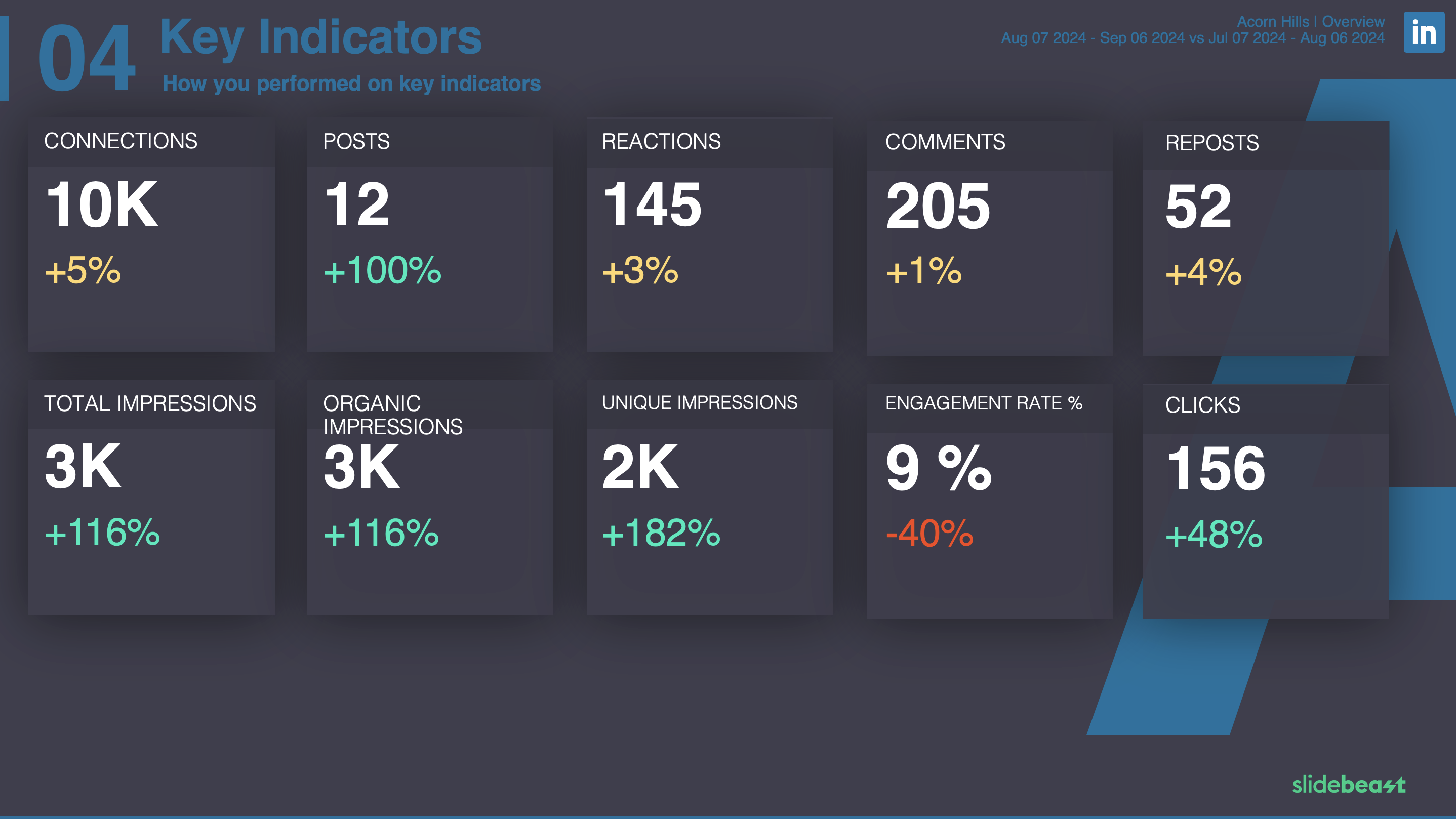 LinkedIn Audience Report Template 1