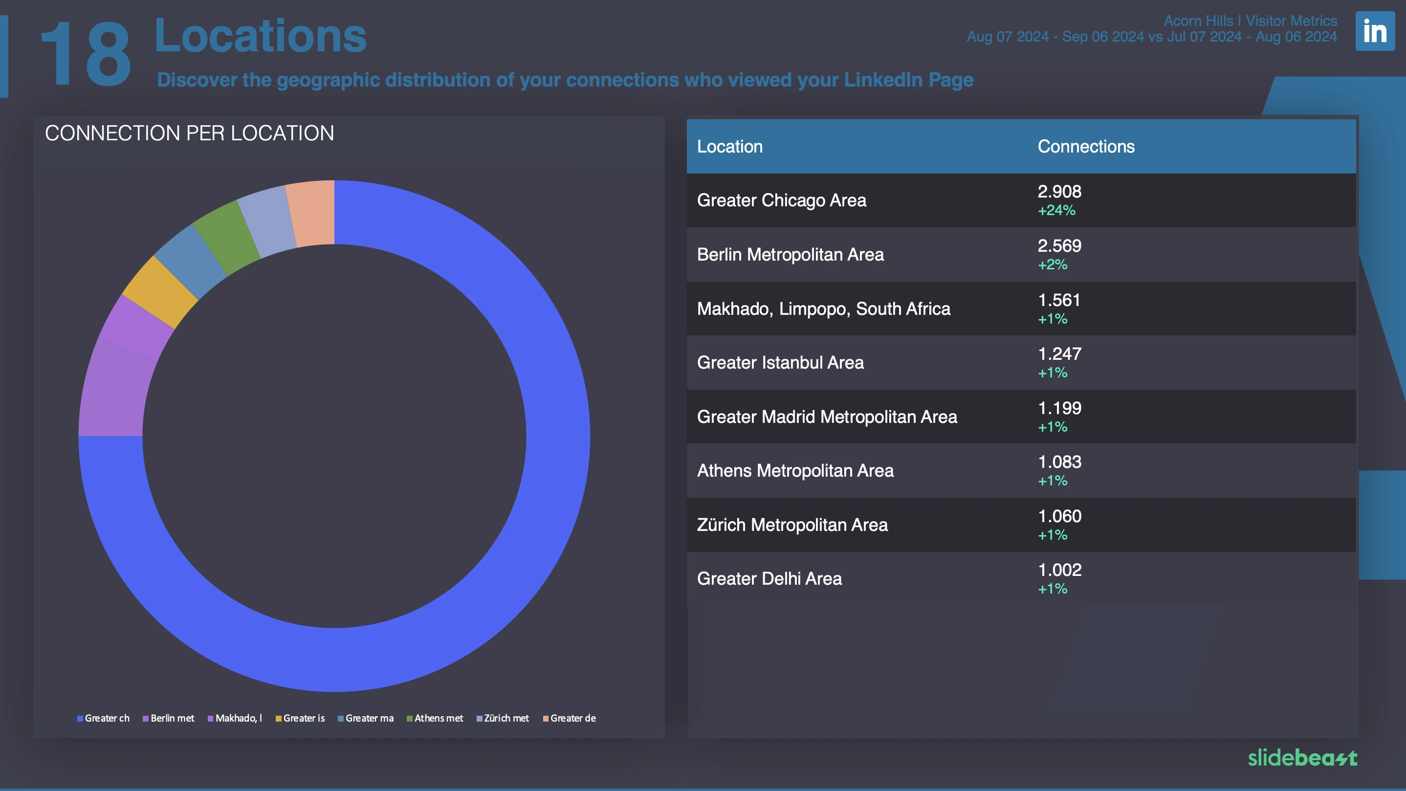 LinkedIn Dashboard Report Template 3